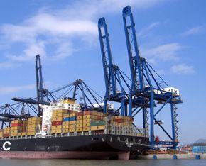 廣州升月進出口貿易 高效助力全球貨物流動